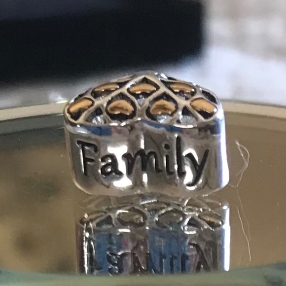 Family tree heart Pandora style charm - Picture 2 of 7
